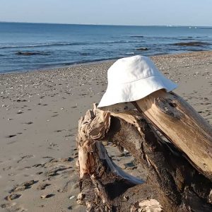 Bob les p’tites bêtes