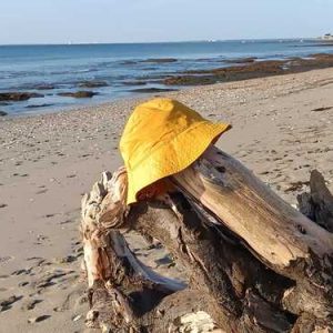 Bob wax ocre artisanal