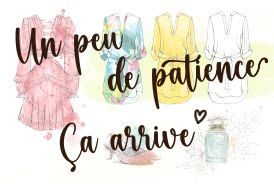 catégorie vêtement